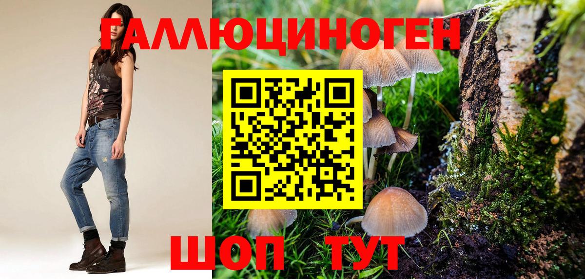 Псилоцибиновые грибы Cubensis Сертолово